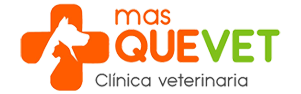 MasQueVet · Clínica Veterinaria